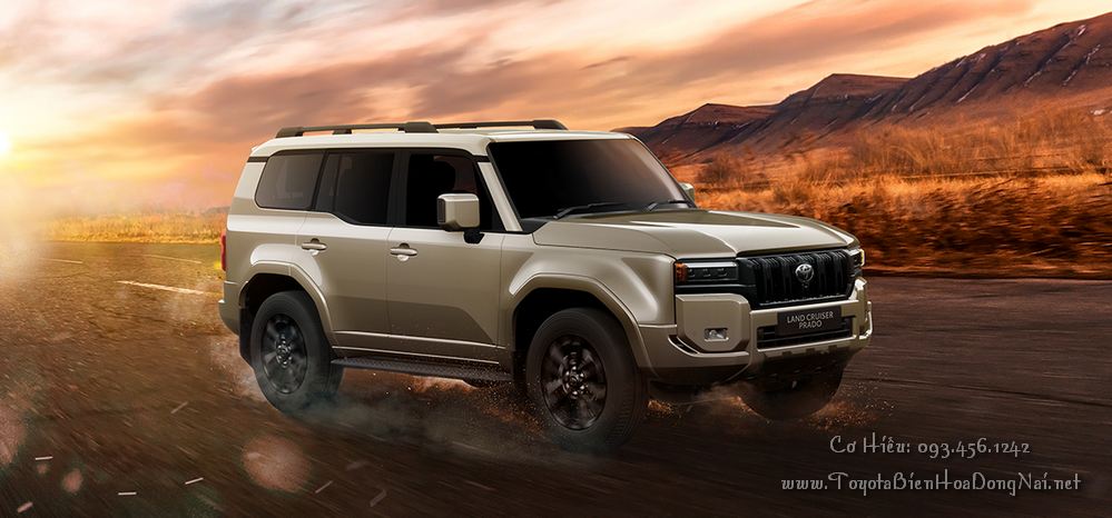 Toyota Land Cruiser Prado Land Cruiser Prado LP 2